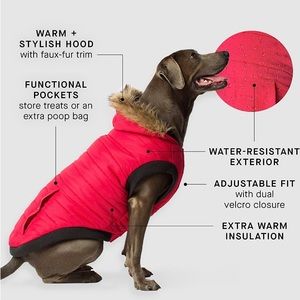 Canada pooch North Pole Parka- Black Color